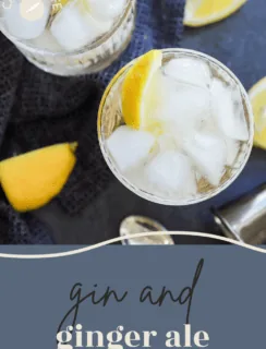 gin and ginger ale pinterest graphic