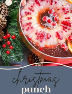 Christmas Punch – A Couple Cooks