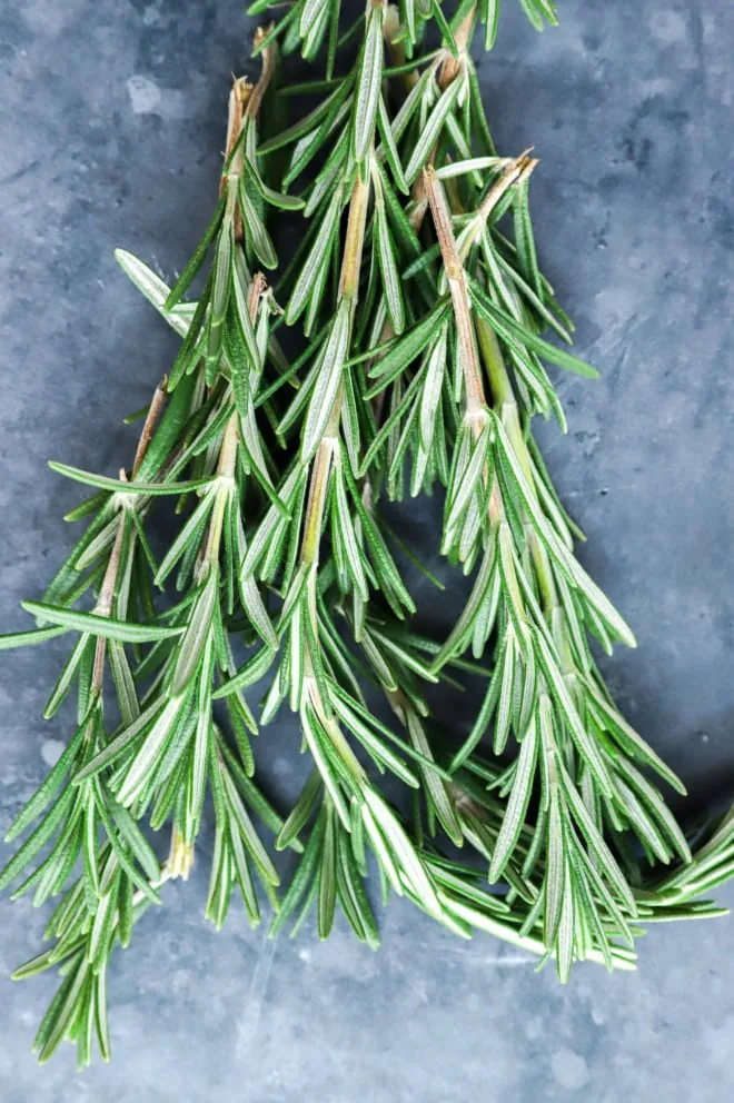 fresh rosemary sprigs in a pile