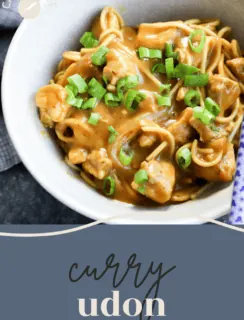 Curry Udon Noodles Pinterest Photo