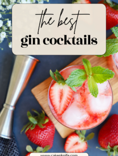 gin drinks round up pin image