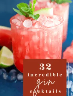 gin drinks round up pin picture