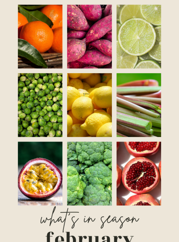 what's in season in february produce guide pinterest image