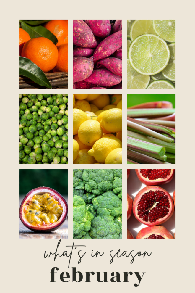 what's in season in february produce guide pinterest image