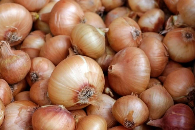 onions in a pile