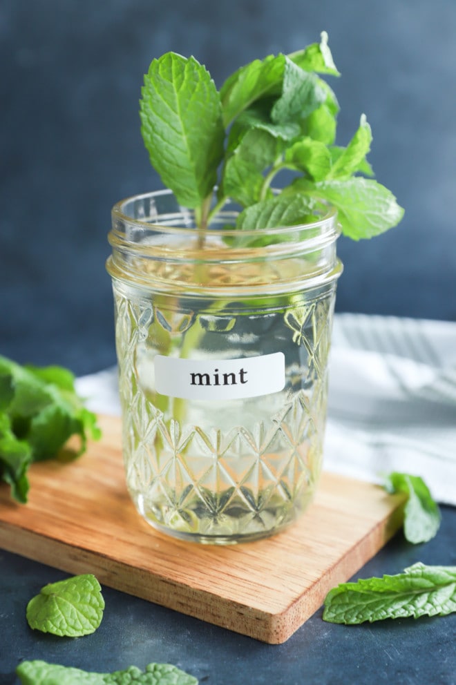 mint simple syrup in a mason jar with fresh mint leaves and sprigs