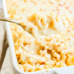 spoonful of creamy cheesy pasta lifting out of the baking dish
