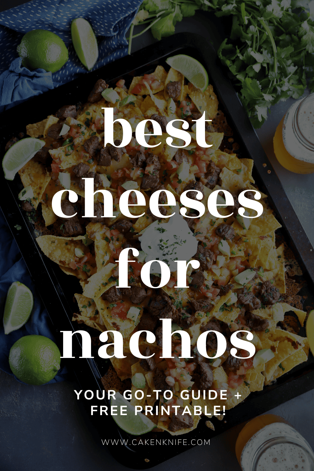 best cheeses for nachos pinterest image