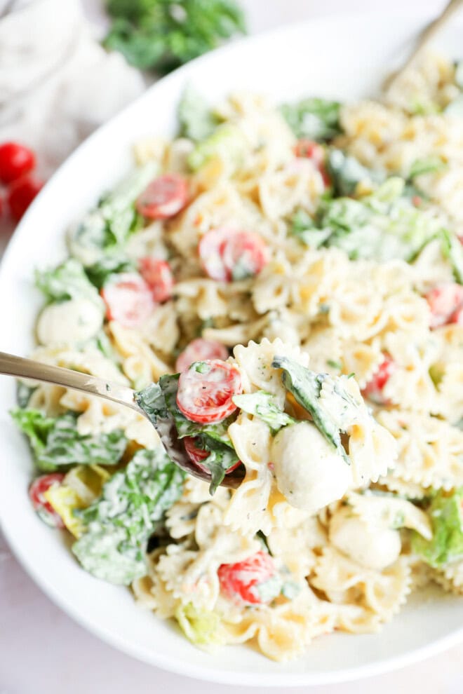 spoonful of caprese bow tie pasta salad