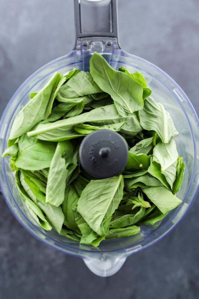 Fresh basil leaves in the bowl of a food processor