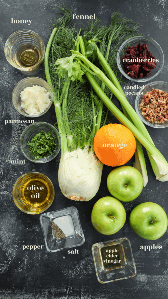 Top-down view of Apple Fennel Salad ingredients on a dark surface, featuring fennel, green apples, orange, mint, parmesan, honey, cranberries, candied pecans, olive oil, apple cider vinegar, salt and pepper.