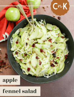 A bowl of Apple Fennel Salad with thinly sliced green apples, fennel, and dried cranberries sits on a brown surface with a red cloth and whole green apples nearby. Two forks rest in the bowl. Text reads Apple Fennel Salad.