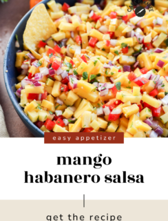 A close-up of a bowl filled with colorful mango habanero salsa, featuring diced mango, red onion, red pepper, cilantro, and tortilla chips, with text promoting an easy appetizer recipe.