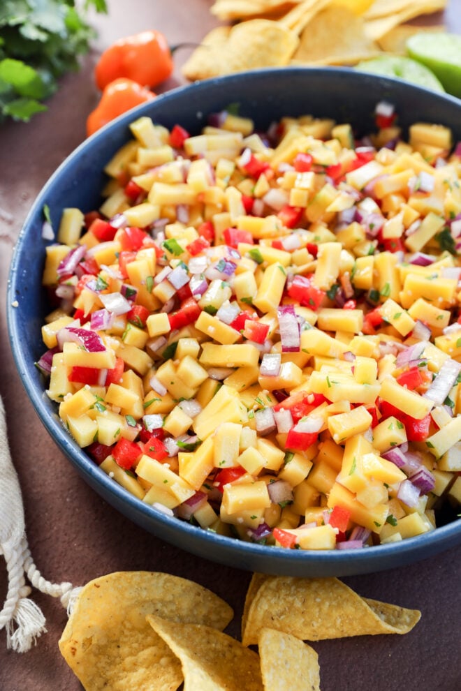 A blue bowl filled with colorful mango salsa, featuring diced mango, red bell pepper, red onion, and herbs. Tortilla chips and fresh ingredients are visible around the bowl.