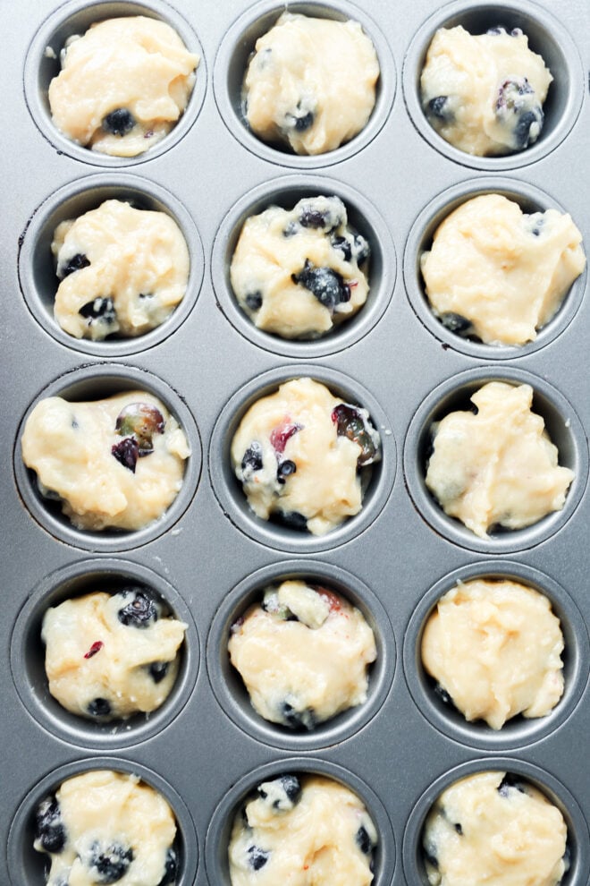 A muffin tin filled with unbaked mini blueberry muffins batter, ready to be placed in the oven. The batter is lumpy and dotted with visible blueberries in each cup.
