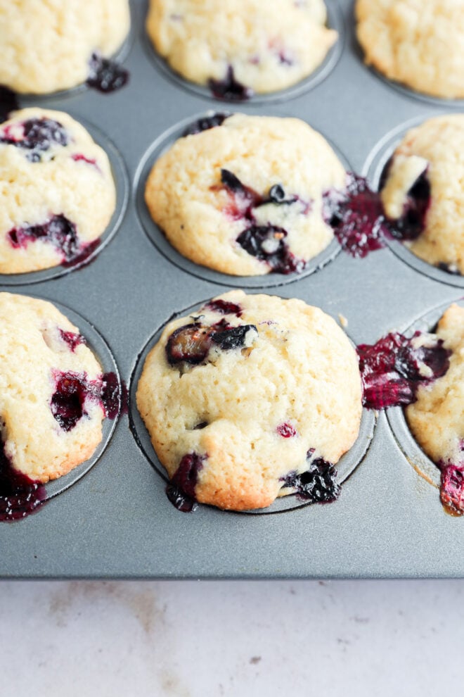A close-up of freshly baked mini blueberry muffins in a muffin tin, with some muffins showing juicy blueberries and slightly golden tops.