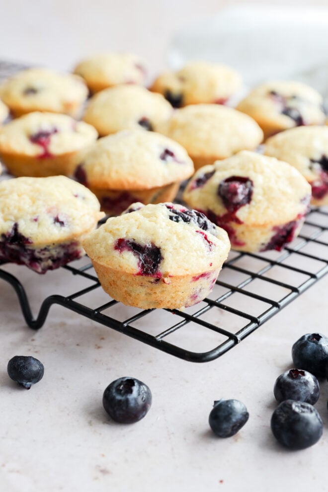 Freshly baked mini blueberry muffins cool on a wire rack, with several loose blueberries scattered on a light countertop in the foreground. The golden muffins are filled with visible blueberries.