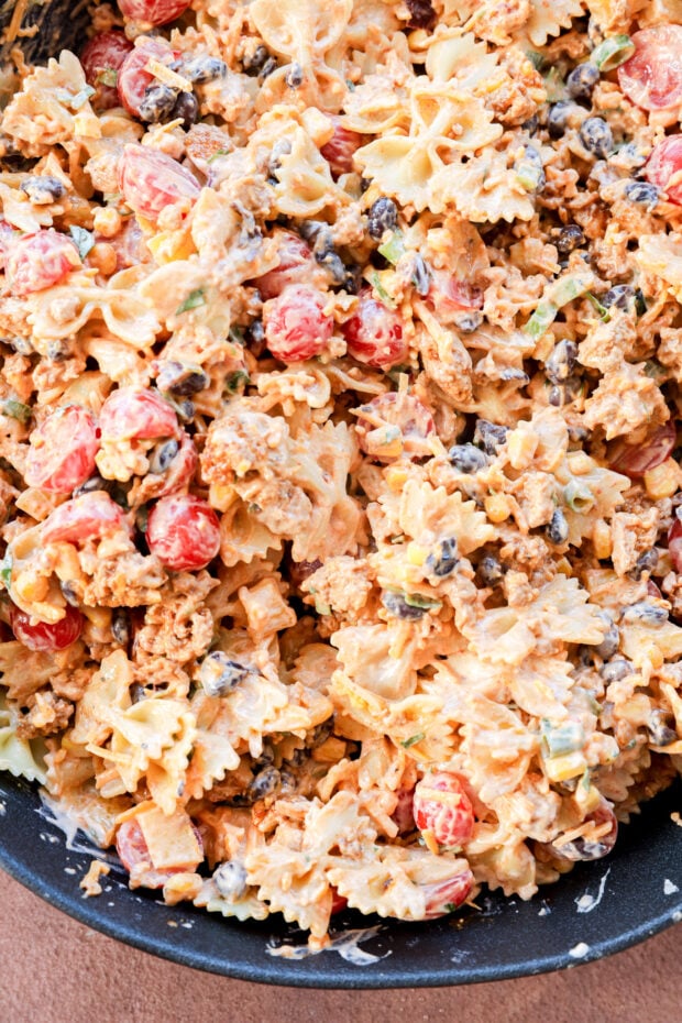 Taco Pasta Salad Recipe Easy Make Ahead Potluck Favorite Cake n Knife taco-pasta-salad-recipe-easy-make-ahead-potluck-favorite-cake-n-knife