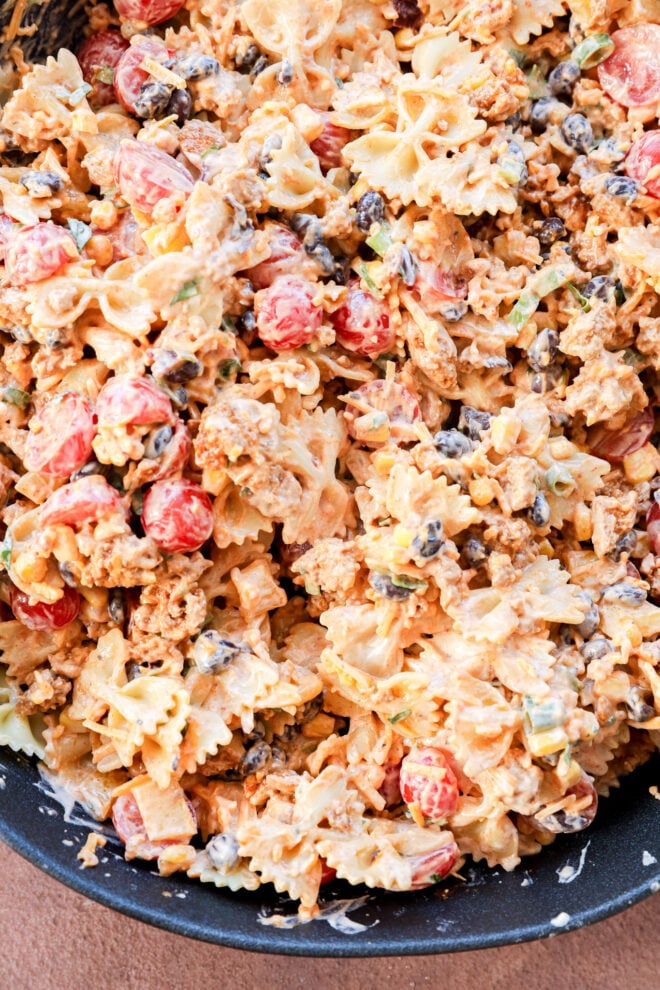 A close-up of a creamy lunch featuring bowtie pasta, halved cherry tomatoes, black olives, ground meat, and green onions, all tossed together in a flavorful sauce.