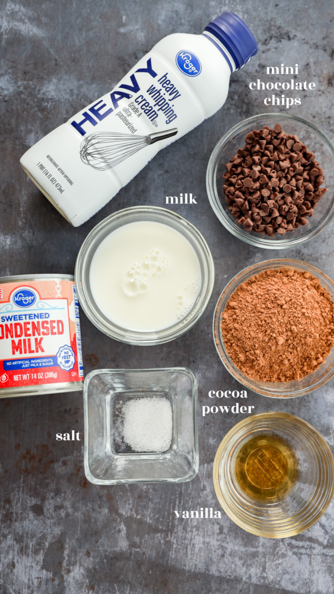 Ingredients for Death By Chocolate Ice Cream laid out: heavy whipping cream, mini chocolate chips, milk, sweetened condensed milk, salt, cocoa powder, and vanilla in bowls on a gray surface.