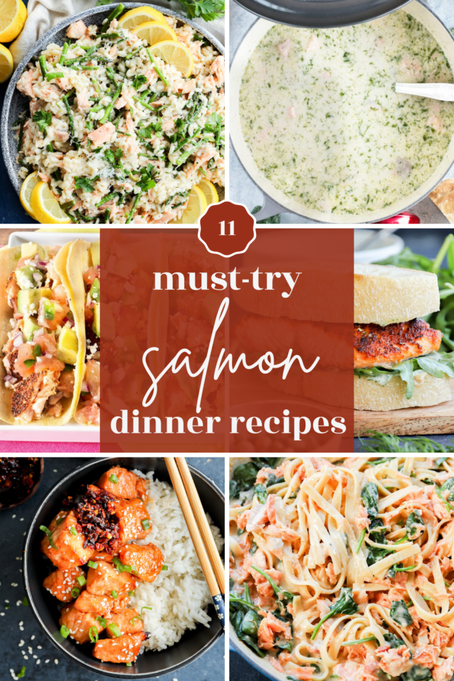 A collage of six salmon dishes, including rice, soup, tacos, a burger, bowls, and pasta, with a central text overlay that reads 11 must-try salmon recipes dinner ideas.