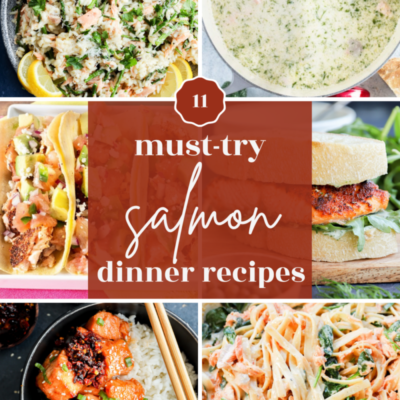 A collage of six salmon dishes, including rice, soup, tacos, a burger, bowls, and pasta, with a central text overlay that reads 11 must-try salmon recipes dinner ideas.