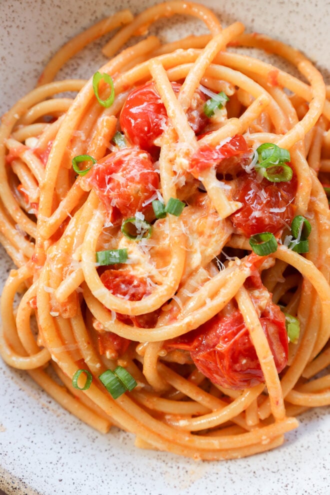 A close-up of Creamy Burrata Pasta with Chili Crisp & Burst Tomatoes featuring bucatini pasta tossed in tomato sauce, roasted cherry tomatoes, grated cheese, and chopped green onions, all served in a speckled bowl.