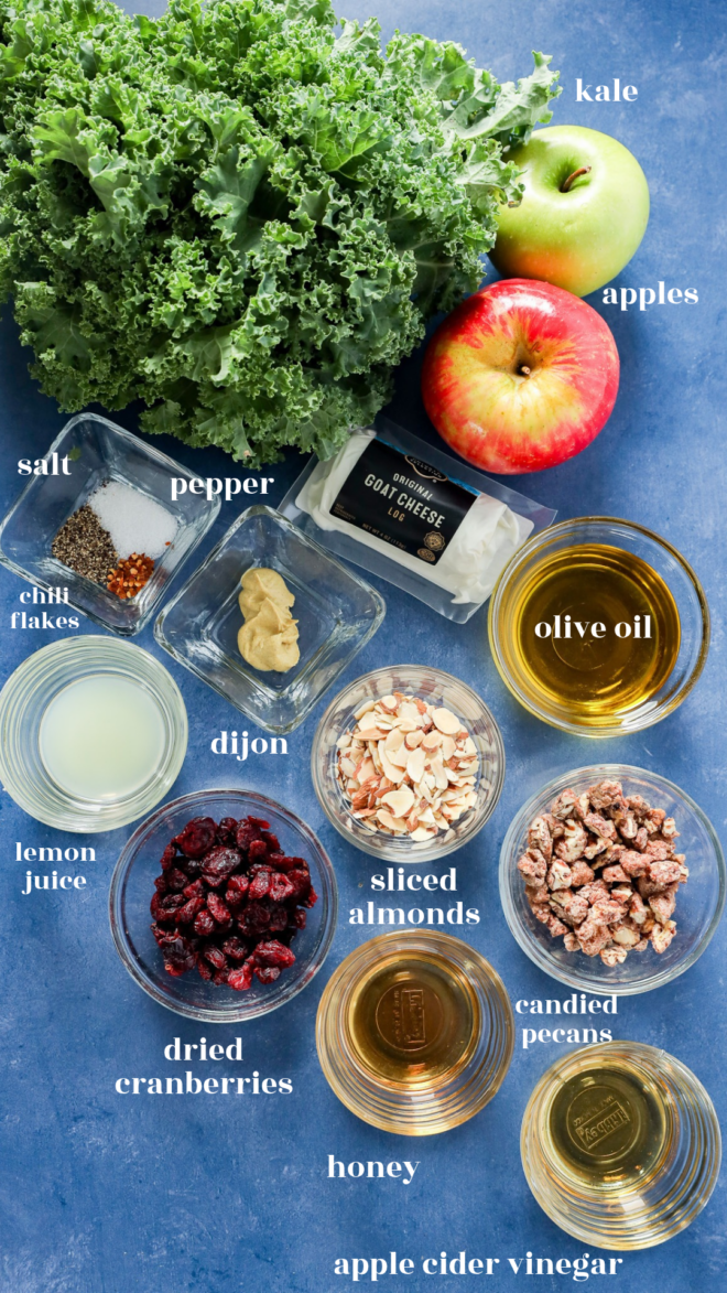 Ingredients for an apple and kale salad arranged on a blue surface, including goat cheese, olive oil, lemon juice, dijon, sliced almonds, candied pecans, dried cranberries, honey, apple cider vinegar, salt, pepper, and chili flakes.